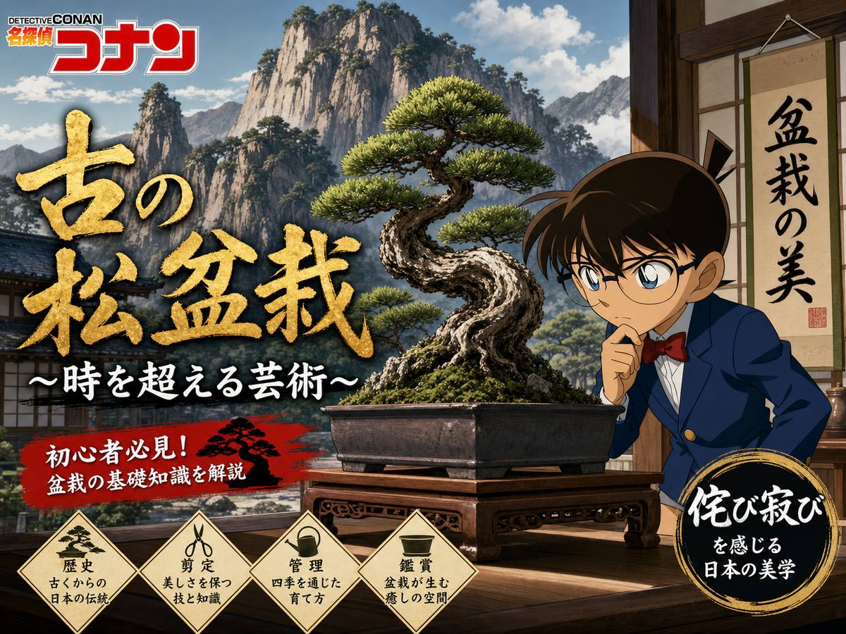 兄妹乱伦盆栽视频